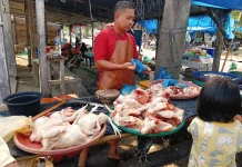 Harga Ayam Potong Meroket di Singkil