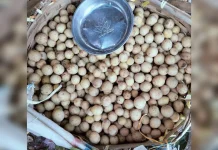 Tips Jitu Jaga Kulit Duku Tetap Cerah dan Segar