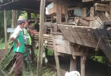 Sinergi TNI dan Peternak Kambing di Subulussalam Perkuat Ketahanan Pangan