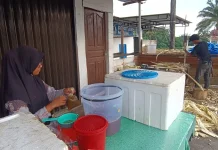 Waspada Pemanis Buatan! Ini 4 Cara Mengenali Air Tebu Murni