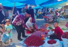 Blusukan ke Pasar, Wabup Singkil Cek Harga dan Ketersediaan Stok Bahan Pangan