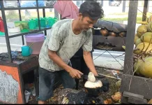 Menikmati Kelapa Bakar Rempah Subulussalam Tawarkan Sensasi Kehangatan Tubuh