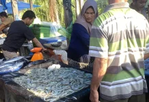 Harga Udang di Aceh Singkil Mencapai Rp120 Ribu