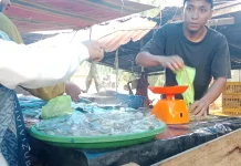 Harga Udang di Pasar Sianjo - Anjo Singkil Naik