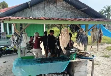 Penjualan Ikan Asin di Aceh Singkil Merosot Drastis