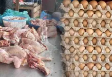 Harga Daging Ayam dan Telur di Subulussalam Meroket