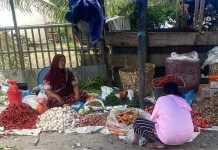 Pasca Lebaran Idul Fitri Harga Kebutuhan Pokok Masih Stabil di Aceh Singkil