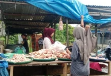 Harga Ayam di Aceh Singkil Rp50 ribu Perkilogram