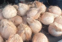Harga Kelapa dan Santan di Subulussalam Stabil
