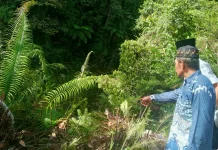 Sebuah Mobil Terjun ke Jurang Buluhdidi Pakpak Barat