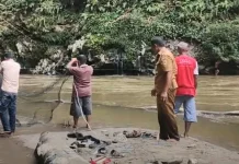 Korban Kecelakaan Mobil Jatuh ke Jurang Belum Ditemukan, Diduga Penumpang Pasutri