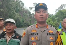 Terhalang Tebing, Operasi Pencarian Mobil Masuk Jurang Menggunakan Drone