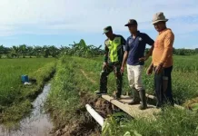 Cegah Sawah Kekeringan Prajurit TNI Susuri Jalur Irigasi IRPOM