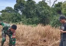 Petani Subulussalam Optimalikan Lahan Kering untuk Komoditas Semangka Unggul