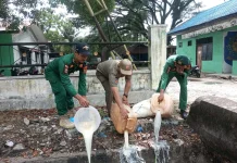 Ratusan Liter Tuak Hasil Operasi di Sultan Daulat Subulussalam Dimusnahkan