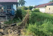 Harga Sayur Mahal, IRT di Singkil Sulap Lahan Jadi Dapur Hidup