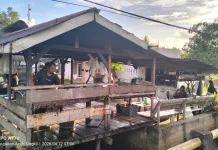 Pembeli Sepi Harga Ayam Potong diSingkil Merosot