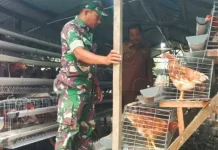 TNI dan Desa di Aceh Singkil Perkuat Ketahanan Pangan