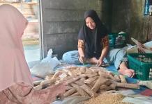 Program Makan Bergizi Gratis Jadi Motor Penggerak Ekonomi UMKM di Subulussalam