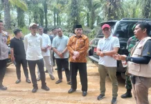 Wali Kota Subulussalam Desak Kemendagri Audit Ulang Luasan Konsesi PT Laot Bangko