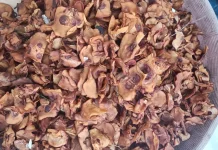 Harga Asam Sunti di Aceh Singkil Rp35 Ribu per Kilogram