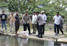 Perkuat Ketahanan Pangan, Kolam Binaan Polres Subulussalam Hasilkan 5 Ton Lele