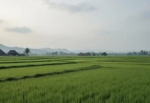 Aceh Masih Berpotensi Hujan Ringan hingga Sedang pada Sore dan Malam Hari