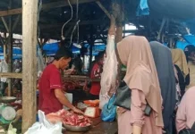 Harga Daging Sapi di Pasar Sianjo-anjo Singkil Rp160 Ribu Perkilogram