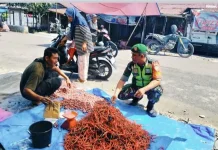 Blusukan ke Pasar, TNI di Singkil Pantau Harga dan Ketersediaan Bahan Pokok