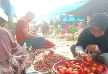 Harga Cabai Merah di Aceh Singkil Merangkak Naik jelang Idul Adha