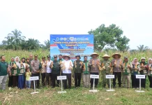 Tekan Inflasi Daerah, Polres Subulussalam Masifkan Pendampingan Petani Jagung