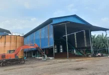 Naikkan Harga Brondolan Jadi Rp4.350, PT Bensuli Minta Supplier Jaga Kualitas