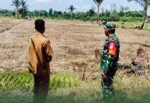 TNI dan Perangkat Desa, Pantau Persiapan Lahan Pertanian Ketahan Pangan di Singkil