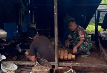Prajurit TNI Dorong Produktivitas Perajin Gambir Tradisional di Subulussalam