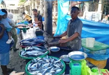 Harga Ikan di Singkil Naik Jelang Idul Adha