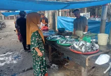Cuaca Buruk Harga Ikan Laut diSingkil Melonjak