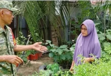TNI dan Warga di Singkil, Sulap Pekarangan jadi Lahan Ketahanan Pangan
