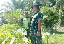 Jembatan Gantung Penghubung Desa di Singkil Bakal Dibangun
