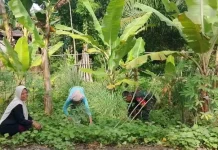 Tekan Biaya Dapur, Warga Rundeng Didorong Sulap Lahan Kosong Jadi Kebun Produktif