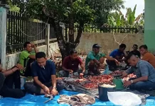 Tradisi Kebersamaan Iduladha, Warga Aceh Singkil Antusias Berkurban