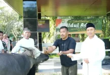 Dandim Aceh Singkil Serahkan Satu Ekor Sapi Kurban