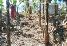 Pacu Produktivitas Pisang, Petani di Subulussalam Bersihkan Lahan Bersama TNI