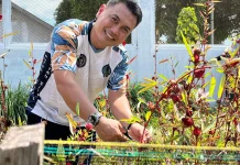 Rutan Singkil Sukses Kembangkan Tanaman Rosella, Perkuat UMKM Warga Bianaan