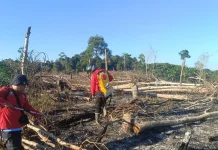 Angin Kencang dan Karhutla Landa Tiga Wilayah di Sumatra