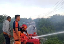 Cuaca Panas, Karhutla Mulai Terjadi di Aceh Singkil