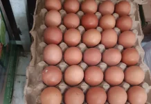 Harga Telur di Aceh Singkil Mulai Turun