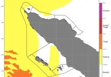 Tinggi Gelombang 1,25-2,5 Meter Berpeluang Terjadi di Perairan Laut Aceh Singkil