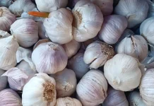 Harga Bawang Putih di Aceh Singkil Meroket