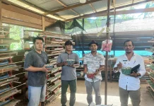 Mengintip Potensi Budidaya Puyuh milik Bumdes di Subulussalam