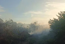 Kemarau Panjang Bakar Gambut 5 Hektare di Subulussalam, Pemadaman Terus Dilakukan